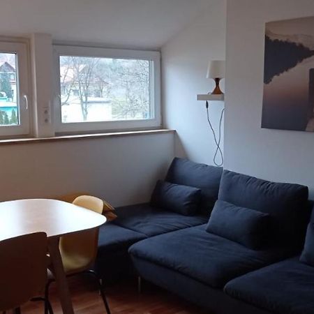Apartment Na Gruszy Stronie Slaskie Bagian luar foto